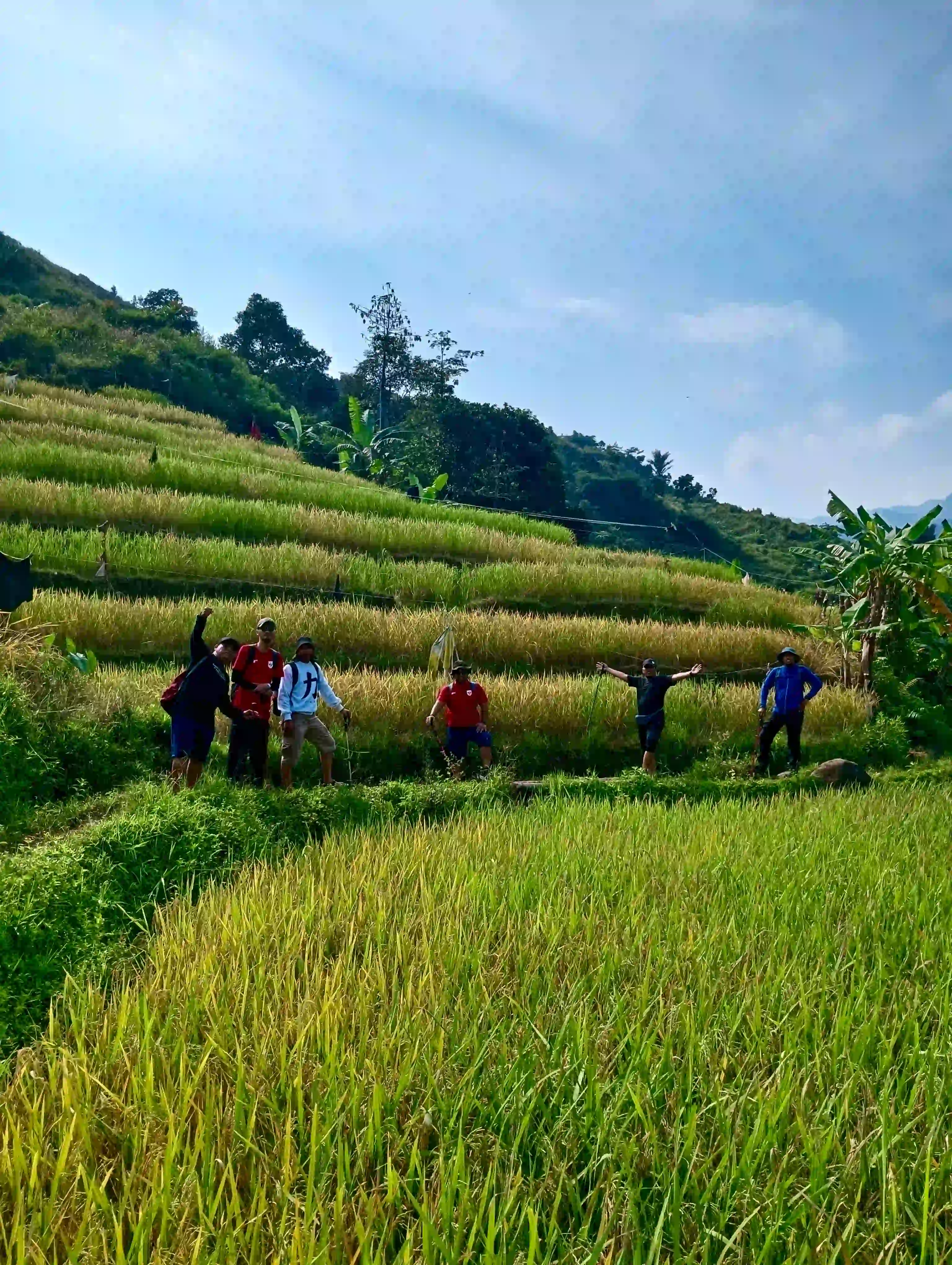 Peserta trekking menyusuri pematang sawah terasering yang hijau dan indah.
