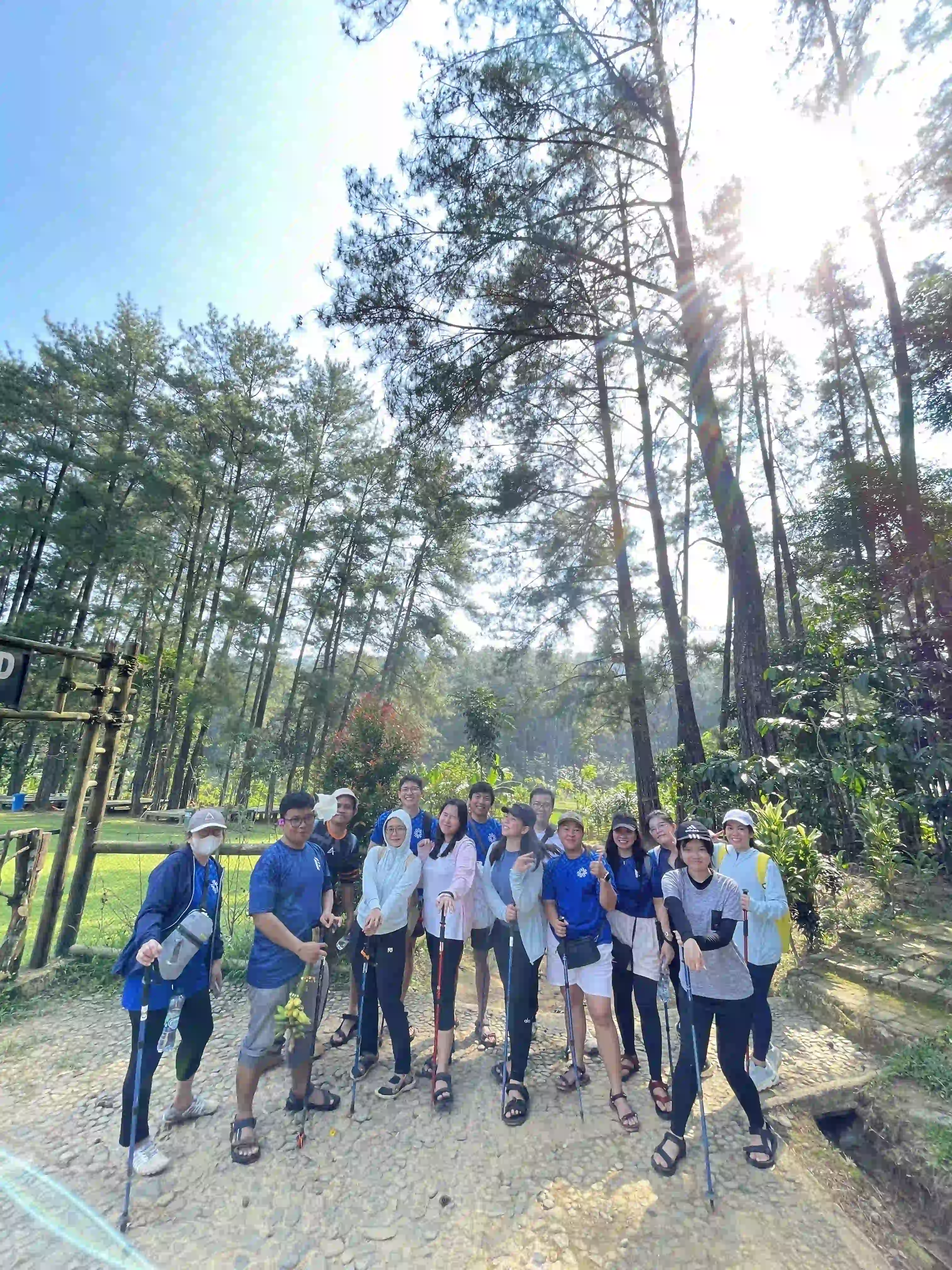 Karyawan dari berbagai divisi berpose dengan tongkat trekking di bawah hutan pinus.