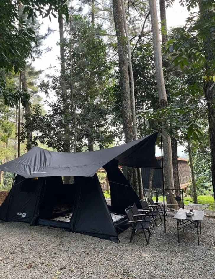 Tim peserta melakukan yoga pagi dengan latar belakang pemandangan alam yang sejuk.